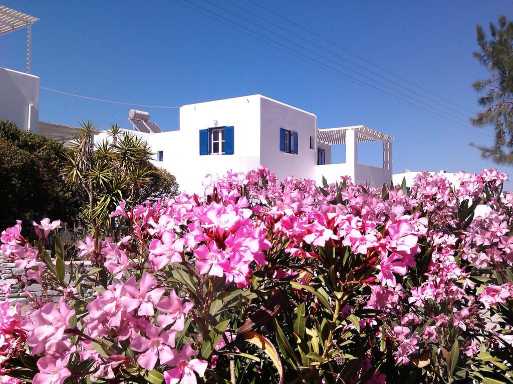 Nicos Studios & Apartments Logaras Exteriér fotografie