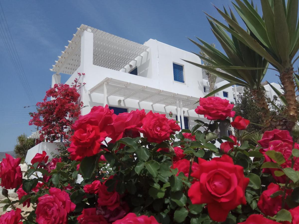 Nicos Studios & Apartments Logaras Exteriér fotografie